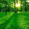 Photo of Nimit