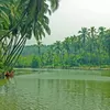 Photo of Kerala Tourism Travel