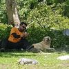 Photo of Rakesh Gaikwad