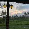 Photo of The travel bug