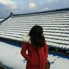Felyox Travel Blogger