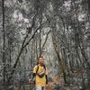 Profile photo of edyirfan