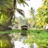 Photo of GoKerala Trip