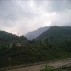 Profile photo of Tanveer Qaiser