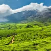 Photo of Kerala Trip