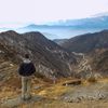 Profile photo of Hostel Traveller