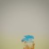 Profile photo of Tollfreeexplorer