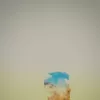 Photo of Tollfreeexplorer