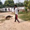 Profile photo of Aman singh