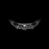 Photo of Gliding Garud