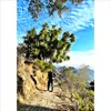 Photo of Pranav Prasher