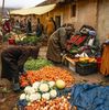 Profile photo of Marrakesh Day Tours