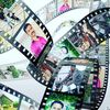 Profile photo of chandugaikwad376@gmail.com