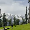 Photo of Basit Andrabi