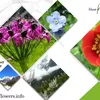 Photo of Blue poppy holidays private limited