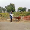 Profile photo of Jawahar Lal Raina