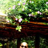Malab Travel Blogger