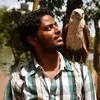 Photo of Anuj Kumar