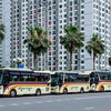 Profile photo of Sapa Express Offical