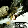 Photo of Shivani Sharma