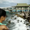 Photo of Deepika Arora