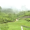 Photo of localtravelista