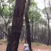 Photo of Meru