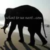 Photo of whattoseenext