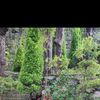 Profile photo of Ritusree exploring