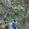 Photo of Samyak Pradhan
