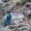 Profile photo of Kalyan Choudhury