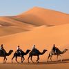 Profile photo of Traveling In Morocco Tours