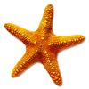 Profile photo of Gypsea Trip