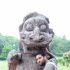 Profile photo of Dhruv