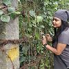 Profile photo of Ankita Srivastava
