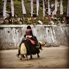 Photo of Suhani
