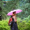 Richa Gupta Travel Blogger