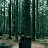 Photo of Lost Traveller