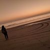 Profile photo of Dipti Trivedi