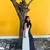 Photo of Dikshita Shetty