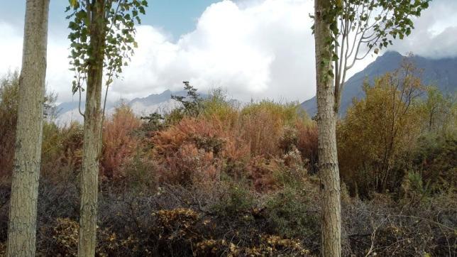 Photo of An evening in Nubra Valley by mytravelnama
