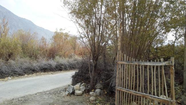 Photo of An evening in Nubra Valley by mytravelnama