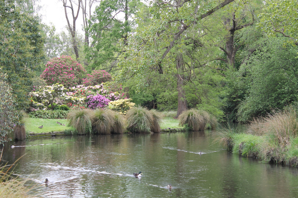 Photo of Christchurch, Canterbury, New Zealand by Sudeep