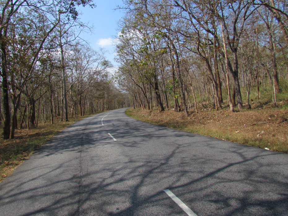 Photo of Wonderful Wayanad! by siddharta saha