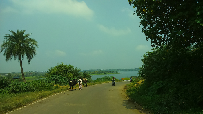 Photo of Journey To The Wonder Village – ” Purushwadi “ by Suryakant Bansode