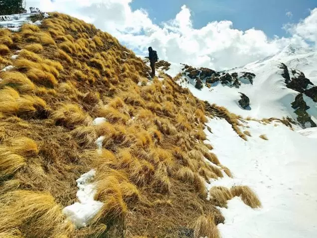 Photo of Kuari Pass: A Winter Trek You'll Never Forget! by Travel Beings