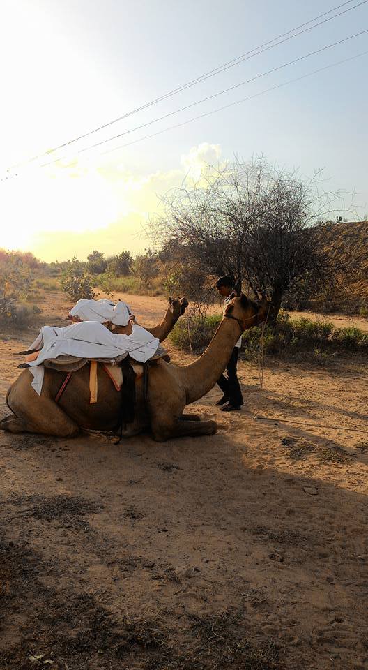 Photo of Jodhpur in 3 days 29/55 by Sanchita Nanda