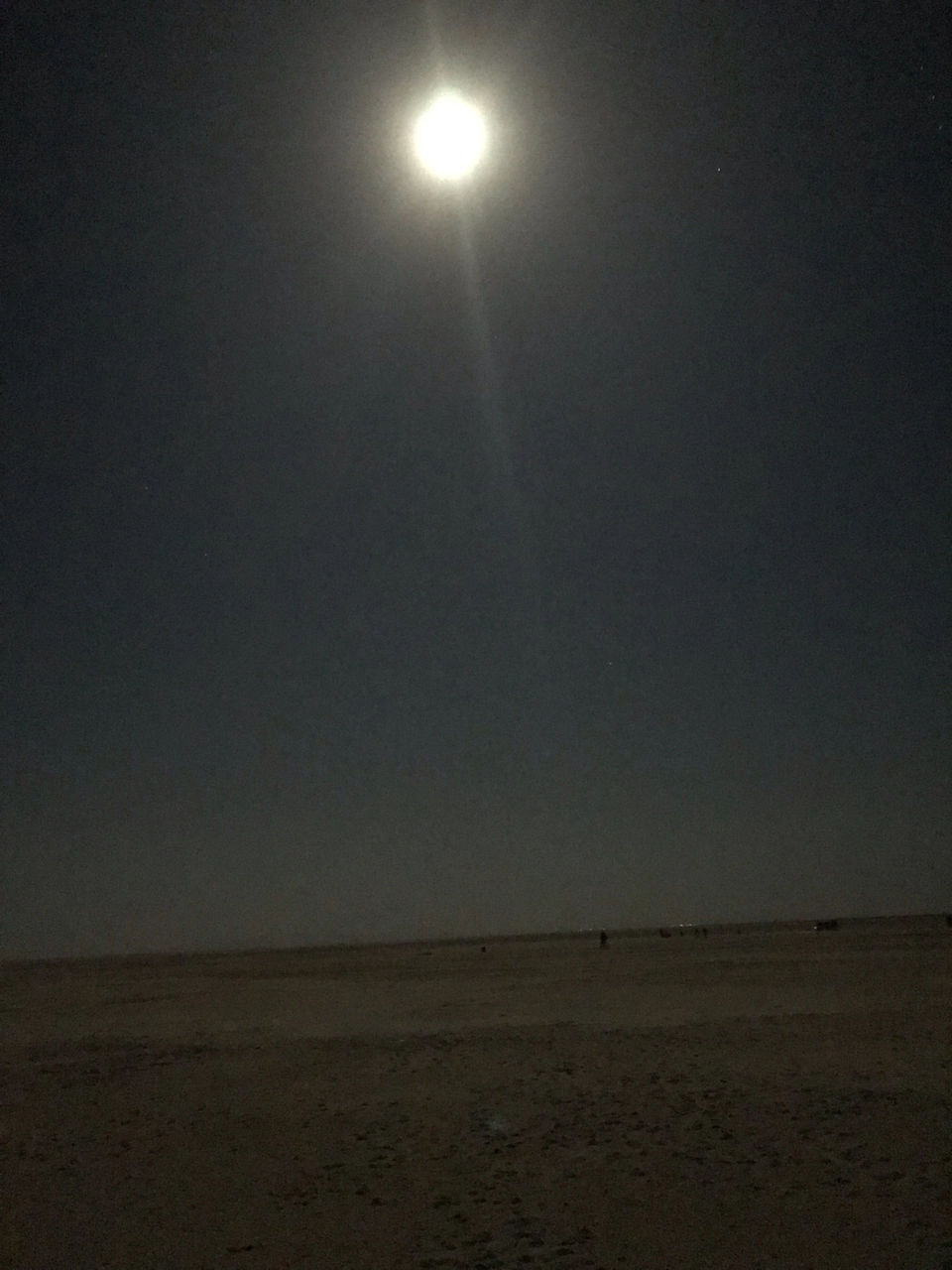 Photo of Kutch, Gujarat, India by Preeti Choudhary