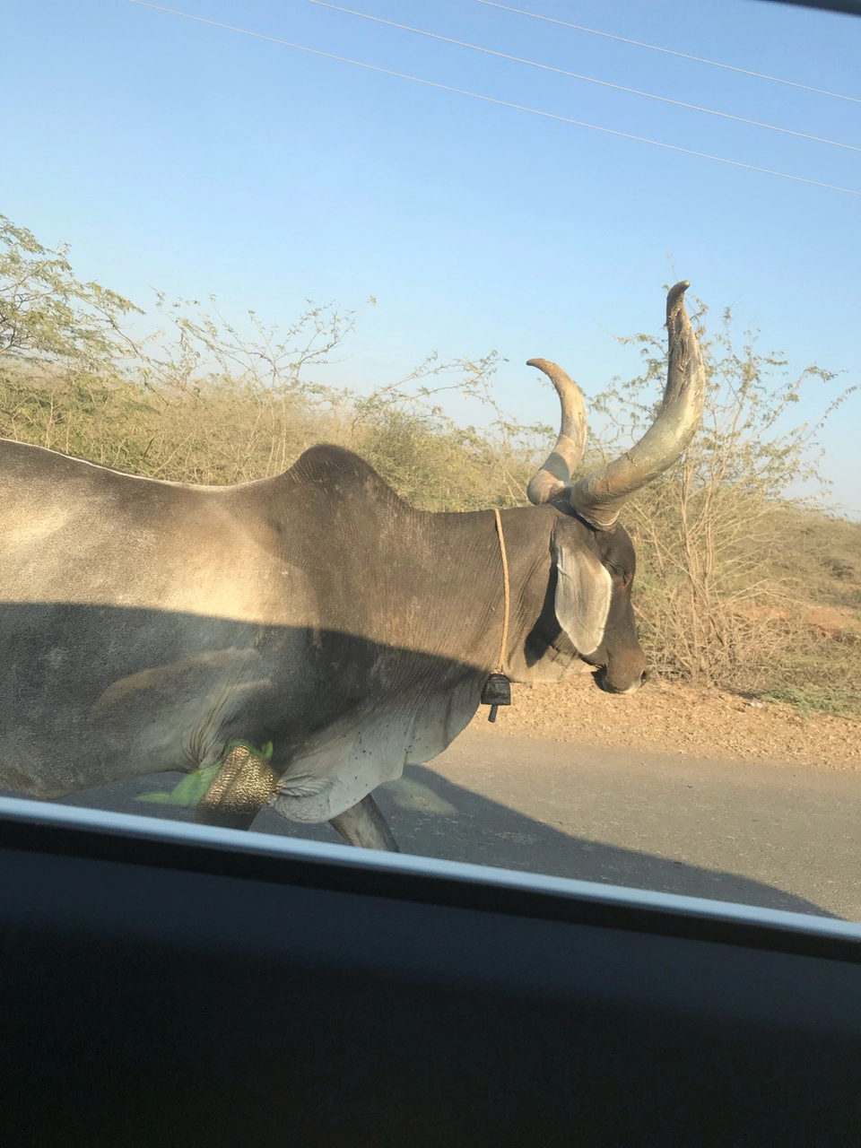 Photo of Mata no Madh, Gujarat, India by Preeti Choudhary