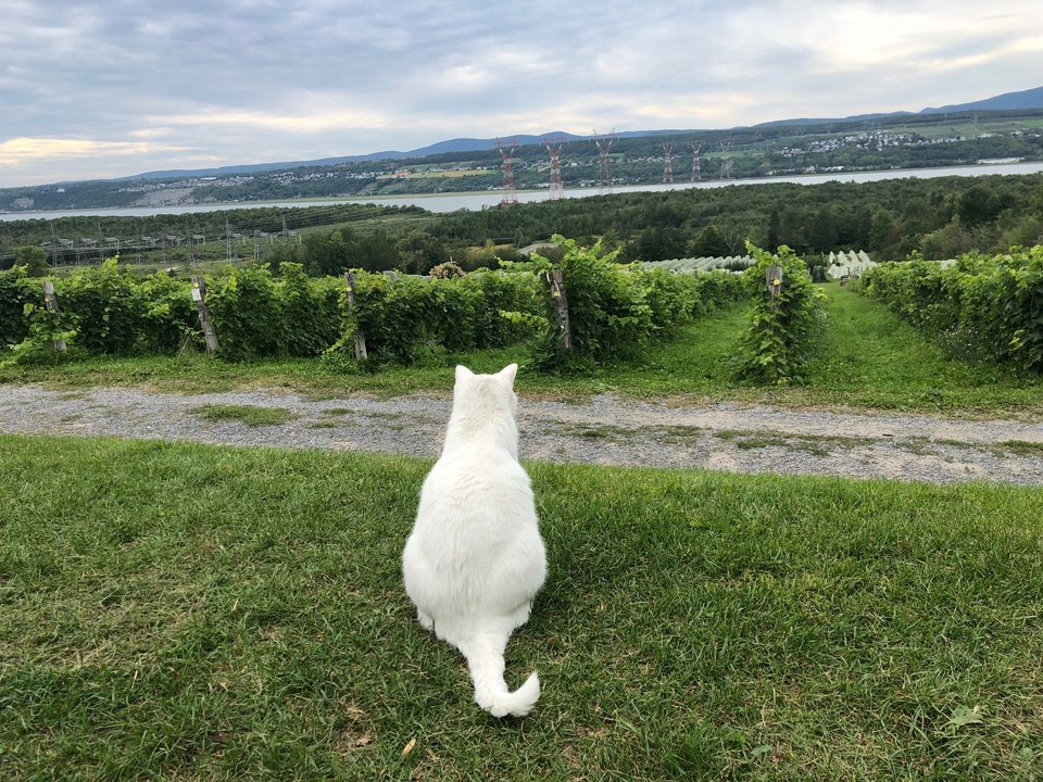 Photo of Île d'Orléans, Quebec, Canada by Meenakshi Sai